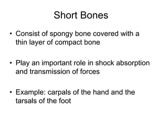 Short Bones
• Consist of spongy bone covered with a
thin layer of compact bone
• Play an important role in shock absorption
and transmission of forces
• Example: carpals of the hand and the
tarsals of the foot
 