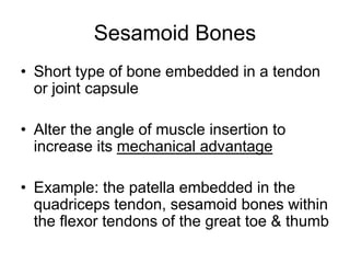 Sesamoid Bones
• Short type of bone embedded in a tendon
or joint capsule
• Alter the angle of muscle insertion to
increase its mechanical advantage
• Example: the patella embedded in the
quadriceps tendon, sesamoid bones within
the flexor tendons of the great toe & thumb
 