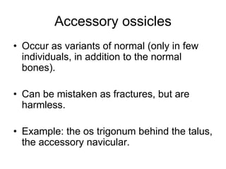 Accessory ossicles
• Occur as variants of normal (only in few
individuals, in addition to the normal
bones).
• Can be mistaken as fractures, but are
harmless.
• Example: the os trigonum behind the talus,
the accessory navicular.
 
