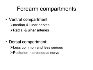 Forearm compartments
• Ventral compartment:
¾median & ulnar nerves
¾Radial & ulnar arteries
• Dorsal compartment:
¾Less common and less serious
¾Posterior interosseous nerve
 