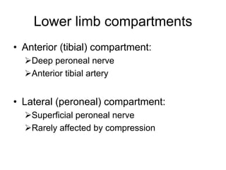 Lower limb compartments
• Anterior (tibial) compartment:
¾Deep peroneal nerve
¾Anterior tibial artery
• Lateral (peroneal) compartment:
¾Superficial peroneal nerve
¾Rarely affected by compression
 