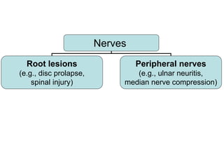 Nerves
Root lesions
(e.g., disc prolapse,
spinal injury)
Peripheral nerves
(e.g., ulnar neuritis,
median nerve compression)
 