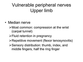 Vulnerable peripheral nerves
Upper limb
• Median nerve
¾Most common: compression at the wrist
(carpal tunnel)
¾Fluid retention in pregnancy
¾Repetitive movement (flexor tenosynovitis)
¾Sensory distribution: thumb, index, and
middle fingers, half the ring finger
 