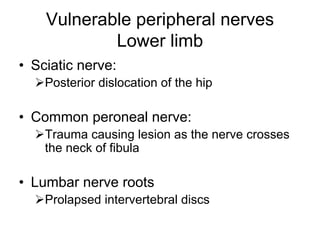 Vulnerable peripheral nerves
Lower limb
• Sciatic nerve:
¾Posterior dislocation of the hip
• Common peroneal nerve:
¾Trauma causing lesion as the nerve crosses
the neck of fibula
• Lumbar nerve roots
¾Prolapsed intervertebral discs
 