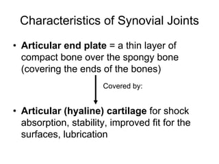 Characteristics of Synovial Joints
• Articular end plate = a thin layer of
compact bone over the spongy bone
(covering the ends of the bones)
• Articular (hyaline) cartilage for shock
absorption, stability, improved fit for the
surfaces, lubrication
Covered by:
 