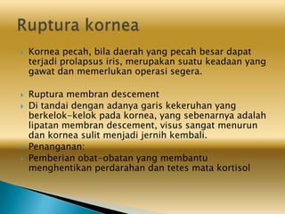  Kornea pecah, bila daerah yang pecah besar dapat
terjadi prolapsus iris, merupakan suatu keadaan yang
gawat dan memerlukan operasi segera.
 Ruptura membran descement
 Di tandai dengan adanya garis kekeruhan yang
berkelok-kelok pada kornea, yang sebenarnya adalah
lipatan membran descement, visus sangat menurun
dan kornea sulit menjadi jernih kembali.
 Penanganan:
 Pemberian obat-obatan yang membantu
menghentikan perdarahan dan tetes mata kortisol
 