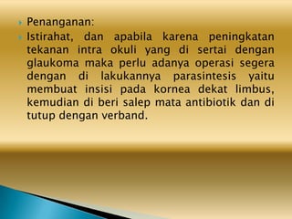  Penanganan:
 Istirahat, dan apabila karena peningkatan
tekanan intra okuli yang di sertai dengan
glaukoma maka perlu adanya operasi segera
dengan di lakukannya parasintesis yaitu
membuat insisi pada kornea dekat limbus,
kemudian di beri salep mata antibiotik dan di
tutup dengan verband.
 