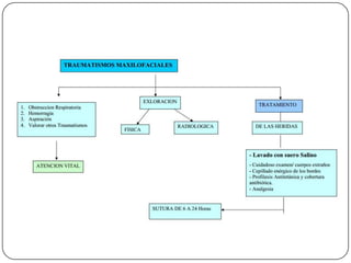 Trauma maxilofacial