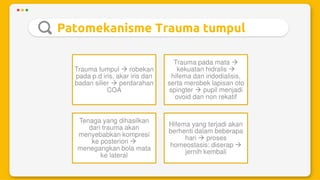 Trauma mekanik mata