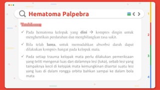 Trauma mekanik mata