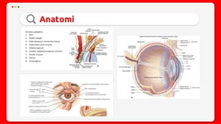 Trauma mekanik mata