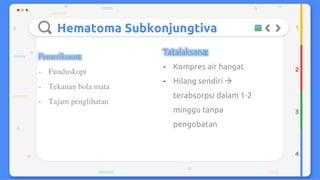 Trauma mekanik mata