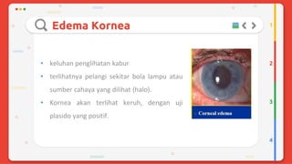 Trauma mekanik mata