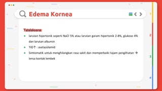 Trauma mekanik mata