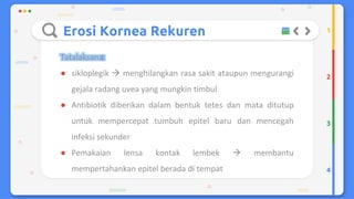 Trauma mekanik mata