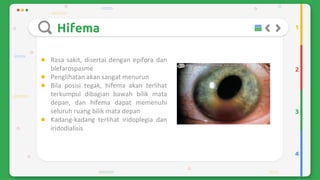 Trauma mekanik mata