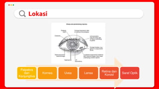 Trauma mekanik mata
