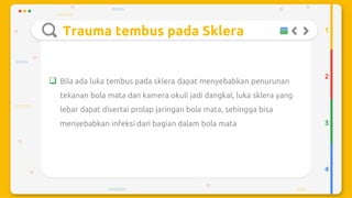 Trauma mekanik mata