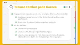 Trauma mekanik mata