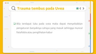 Trauma mekanik mata