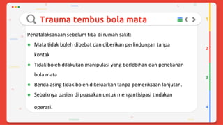 Trauma mekanik mata