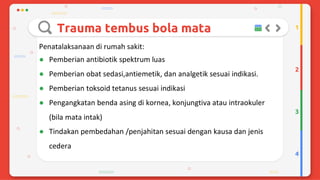 Trauma mekanik mata