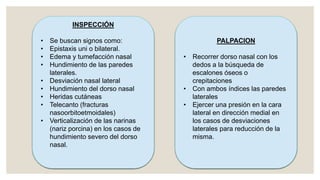 INSPECCIÓN
• Se buscan signos como:
• Epistaxis uni o bilateral.
• Edema y tumefacción nasal
• Hundimiento de las paredes
laterales.
• Desviación nasal lateral
• Hundimiento del dorso nasal
• Heridas cutáneas
• Telecanto (fracturas
nasoorbitoetmoidales)
• Verticalización de las narinas
(nariz porcina) en los casos de
hundimiento severo del dorso
nasal.
PALPACION
• Recorrer dorso nasal con los
dedos a la búsqueda de
escalones óseos o
crepitaciones
• Con ambos índices las paredes
laterales
• Ejercer una presión en la cara
lateral en dirección medial en
los casos de desviaciones
laterales para reducción de la
misma.
 