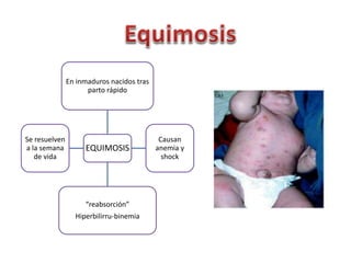 En inmaduros nacidos tras 
parto rápido 
EQUIMOSIS 
Causan 
anemia y 
shock 
“reabsorción” 
Hiperbilirru-binemia 
Se resuelven 
a la semana 
de vida 
 