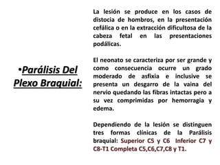 •Parálisis Del 
Plexo Braquial: 
La lesión se produce en los casos de 
distocia de hombros, en la presentación 
cefálica o en la extracción dificultosa de la 
cabeza fetal en las presentaciones 
podálicas. 
El neonato se caracteriza por ser grande y 
como consecuencia ocurre un grado 
moderado de asfixia e inclusive se 
presenta un desgarro de la vaina del 
nervio quedando las fibras intactas pero a 
su vez comprimidas por hemorragia y 
edema. 
Dependiendo de la lesión se distinguen 
tres formas clínicas de la Parálisis 
braquial: Superior C5 y C6 Inferior C7 y 
C8-T1 Completa C5,C6,C7,C8 y T1. 
 