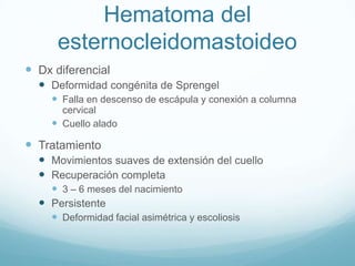 Hematoma del
      esternocleidomastoideo
 Dx diferencial
   Deformidad congénita de Sprengel
      Falla en descenso de escápula y conexión a columna
       cervical
      Cuello alado

 Tratamiento
   Movimientos suaves de extensión del cuello
   Recuperación completa
     3 – 6 meses del nacimiento
   Persistente
     Deformidad facial asimétrica y escoliosis
 