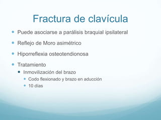 Fractura de clavícula
 Puede asociarse a parálisis braquial ipsilateral
 Reflejo de Moro asimétrico
 Hiporreflexia osteotendionosa
 Tratamiento
   Inmovilización del brazo
      Codo flexionado y brazo en aducción
      10 días
 