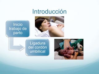 Introducción
   Inicio
trabajo de
   parto

              Ligadura
             del cordón
              umbilical
 