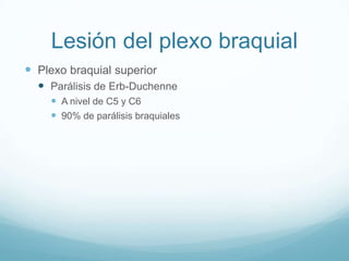 Lesión del plexo braquial
 Plexo braquial superior
   Parálisis de Erb-Duchenne
     A nivel de C5 y C6
     90% de parálisis braquiales
 