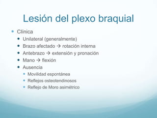 Lesión del plexo braquial
 Clínica
     Unilateral (generalmente)
     Brazo afectado  rotación interna
     Antebrazo  extensión y pronación
     Mano  flexión
     Ausencia
       Movilidad espontánea
       Reflejos osteotendinosos
       Reflejo de Moro asimétrico
 