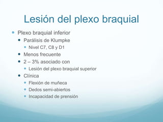 Lesión del plexo braquial
 Plexo braquial inferior
   Parálisis de Klumpke
     Nivel C7, C8 y D1
   Menos frecuente
   2 – 3% asociado con
     Lesión del plexo braquial superior
   Clínica
     Flexión de muñeca
     Dedos semi-abiertos
     Incapacidad de prensión
 