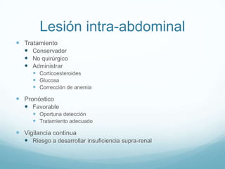 Lesión intra-abdominal
 Tratamiento
   Conservador
   No quirúrgico
   Administrar
       Corticoesteroides
       Glucosa
       Corrección de anemia

 Pronóstico
    Favorable
       Oportuna detección
       Tratamiento adecuado

 Vigilancia continua
   Riesgo a desarrollar insuficiencia supra-renal
 