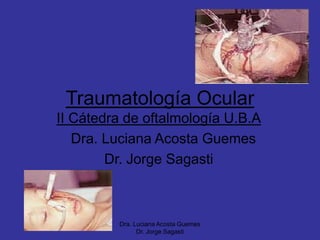 Traumatología Ocular
II Cátedra de oftalmología U.B.A
Dra. Luciana Acosta Guemes
Dr. Jorge Sagasti
Dra. Luciana Acosta Guemes
Dr. Jorge Sagasti
 