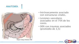 • Intrínsecamente asociado
con estructuras vitales.
• Lesiones vasculares
asociados en el 75% de los
casos.
• 90% con traumas asociados
(promedio de 3,5)
 
