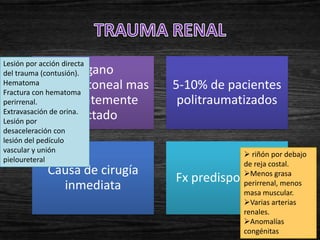Lesión por acción directa
                 Órgano
del trauma (contusión).
Hematoma  retroperitoneal mas
Fractura con hematoma
                                5-10% de pacientes
perirrenal. frecuentemente       politraumatizados
Extravasación de orina.
Lesión por
                afectado
desaceleración con
lesión del pedículo
vascular y unión
                                            riñón por debajo
pieloureteral
                                           de reja costal.
             Causa de cirugía              Menos grasa
                                Fx predisponentes
               inmediata                   perirrenal, menos
                                           masa muscular.
                                           Varias arterias
                                           renales.
                                           Anomalías
                                           congénitas
 