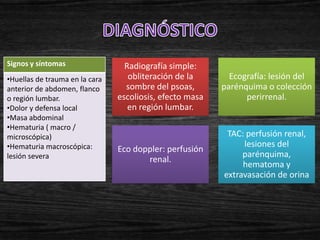 Signos y síntomas                 Radiografía simple:
•Huellas de trauma en la cara      obliteración de la       Ecografía: lesión del
anterior de abdomen, flanco       sombre del psoas,       parénquima o colección
o región lumbar.                escoliosis, efecto masa         perirrenal.
•Dolor y defensa local             en región lumbar.
•Masa abdominal
•Hematuria ( macro /
microscópica)                                              TAC: perfusión renal,
•Hematuria macroscópica:                                       lesiones del
                                Eco doppler: perfusión
lesión severa                                                  parénquima,
                                       renal.
                                                               hematoma y
                                                          extravasación de orina
 