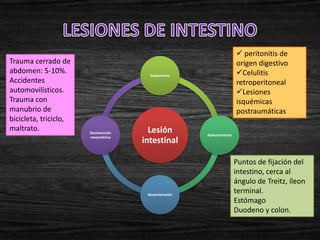  peritonitis de
Trauma cerrado de                                                       origen digestivo
abdomen: 5-10%.                         Explosiones                     Celulitis
Accidentes                                                              retroperitoneal
automovilísticos.                                                       Lesiones
Trauma con                                                              isquémicas
manubrio de                                                             postraumáticas
bicicleta, triciclo,
maltrato.              Desinserción     Lesión          Aplastamiento
                       mesentérica
                                      intestinal

                                                                        Puntos de fijación del
                                                                        intestino, cerca al
                                                                        ángulo de Treitz, íleon
                                       desaceleración
                                                                        terminal.
                                                                        Estómago
                                                                        Duodeno y colon.
 