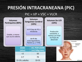 PRESIÓN INTRACRANEANA (PIC)
                            PIC = VP + VSC + VLCR
                                Volumen
    Volumen                                        Volumen De LCR
                            Sanguíneo Cerebral
Parénquima (80%)                                       (10%)
                                  (10%)

                              VV Dep de PIC e
                                 Intratorax           Producción
                                                     constante, a
  Estable, a menos
                                                    menos q se mod
 que ocurra edema
                                                     los flujos de
                                  AA Mx
                                                       absorción
                              autorreguladores,
                              PaCO2 (↓ x ↑FR)

                     EDAD          VEL PERFUSIÓN
                     (años)        (ml/100g/min)
                      <3                  50
                      3-7                 70
             15-19 y adulto:            33-55
 