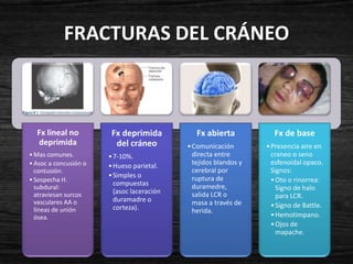FRACTURAS DEL CRÁNEO



  Fx lineal no          Fx deprimida           Fx abierta           Fx de base
  deprimida              del cráneo         • Comunicación        • Presencia aire en
• Mas comunes.         • 7-10%.               directa entre         craneo o seno
• Asoc a concusión o   • Hueso parietal.      tejidos blandos y     esfenoidal opaco.
  contusión.                                  cerebral por          Signos:
                       • Simples o            ruptura de
• Sospecha H.
                         compuestas                                 • Oto o rinorrea:
  subdural:                                   duramedre,              Signo de halo
  atraviesan surcos      (asoc laceración     salida LCR o
                         duramadre o                                  para LCR.
  vasculares AA o                             masa a través de      • Signo de Battle.
  líneas de unión        corteza).            herida.
  ósea.                                                             • Hemotimpano.
                                                                    • Ojos de
                                                                      mapache.
 