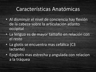 Características Anatómicas
• Al disminuir el nivel de conciencia hay flexión
  de la cabeza sobre la articulación atlanto
  occipital
• La lengua es de mayor tamaño en relación con
  el resto
• La glotis se encuentra mas cefálica (C3
  lactante)
• Epiglotis mas estrecha y angulada con relacion
  a la tráquea
 