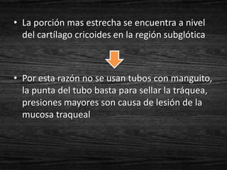 • La porción mas estrecha se encuentra a nivel
  del cartílago cricoides en la región subglótica



• Por esta razón no se usan tubos con manguito,
  la punta del tubo basta para sellar la tráquea,
  presiones mayores son causa de lesión de la
  mucosa traqueal
 