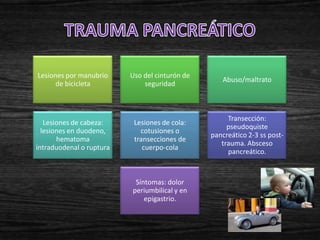 Lesiones por manubrio     Uso del cinturón de
                                                   Abuso/maltrato
      de bicicleta            seguridad



                                                     Transección:
   Lesiones de cabeza:     Lesiones de cola:
                                                     pseudoquiste
  lesiones en duodeno,       cotusiones o
                                                pancreático 2-3 ss post-
       hematoma            transecciones de
                                                   trauma. Absceso
intraduodenal o ruptura       cuerpo-cola
                                                     pancreático.



                           Síntomas: dolor
                          periumbilical y en
                              epigastrio.
 