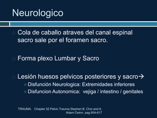 Neurologico
 Cola de caballo atraves del canal espinal
sacro sale por el foramen sacro.
 Forma plexo Lumbar y Sacro
 Lesión huesos pelvicos posteriores y sacro
 Disfunción Neurologica: Extremidades inferiores
 Disfuncion Autonomica: vejiga / intestino / genitales
TRAUMA. Chapter 52 Pelvic Trauma Stephen B. Choi and A.
Adam Cwinn. pag 604-617
 