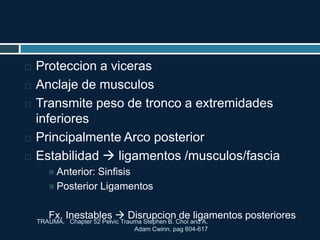  Proteccion a viceras
 Anclaje de musculos
 Transmite peso de tronco a extremidades
inferiores
 Principalmente Arco posterior
 Estabilidad  ligamentos /musculos/fascia
 Anterior: Sinfisis
 Posterior Ligamentos
Fx. Inestables  Disrupcion de ligamentos posteriores
TRAUMA. Chapter 52 Pelvic Trauma Stephen B. Choi and A.
Adam Cwinn. pag 604-617
 