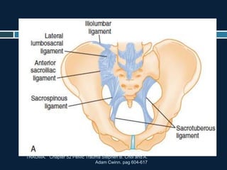 TRAUMA. Chapter 52 Pelvic Trauma Stephen B. Choi and A.
Adam Cwinn. pag 604-617
 