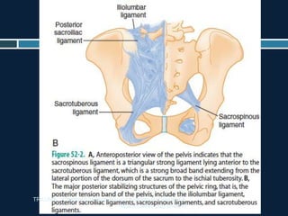 TRAUMA. Chapter 52 Pelvic Trauma Stephen B. Choi and A.
Adam Cwinn. pag 604-617
 